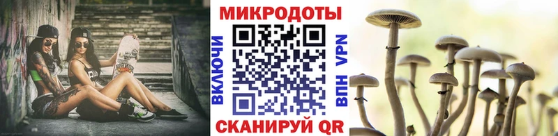 Псилоцибиновые грибы мицелий  даркнет сайт  blacksprut tor  Кувшиново 
