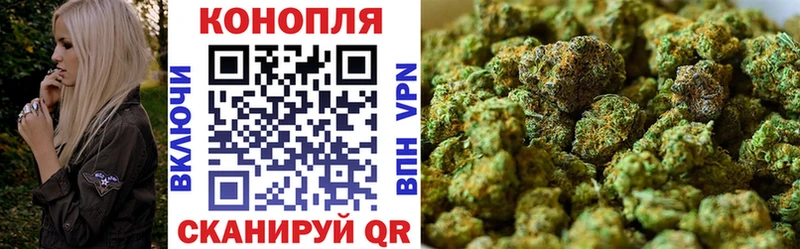 цена   Кувшиново  Бошки марихуана планчик 